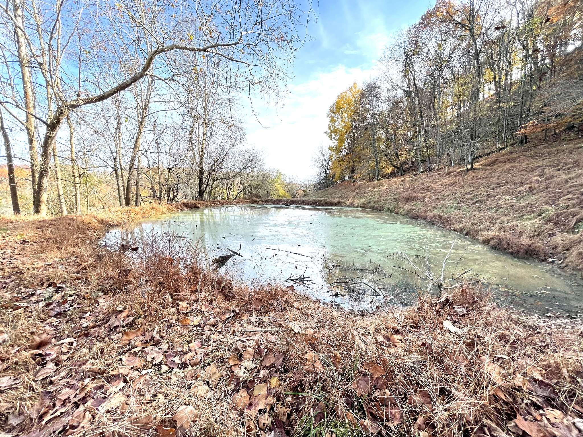 Pleasant Shade, TN 37145,1 Patterson Lane