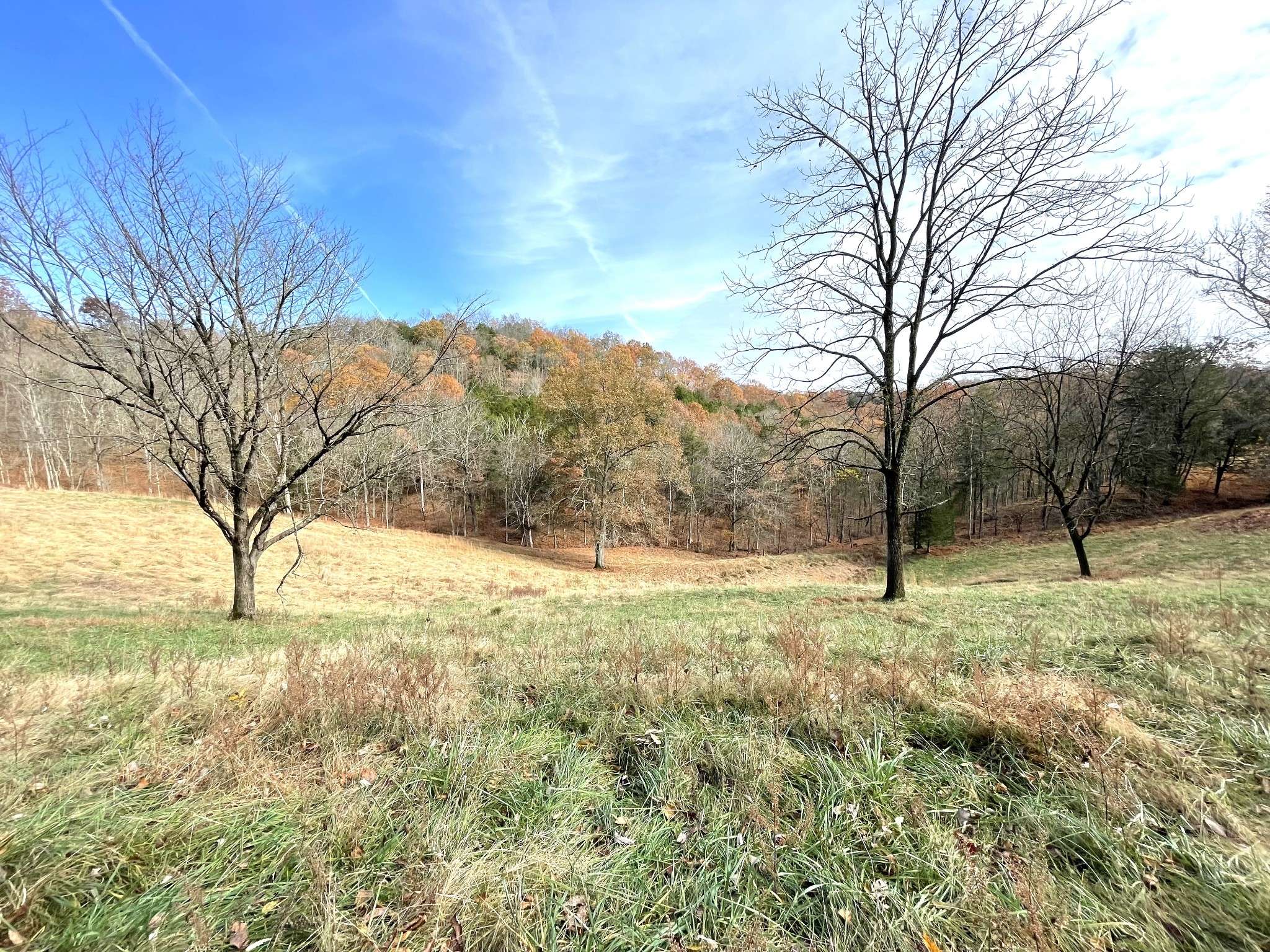 Pleasant Shade, TN 37145,1 Patterson Lane