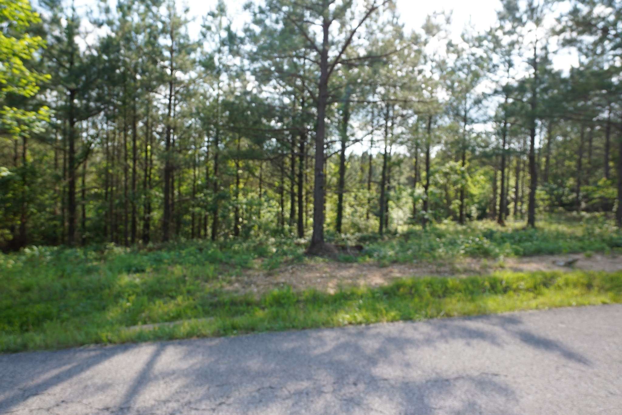 Dover, TN 37058,5 Cottrell Ridge Road