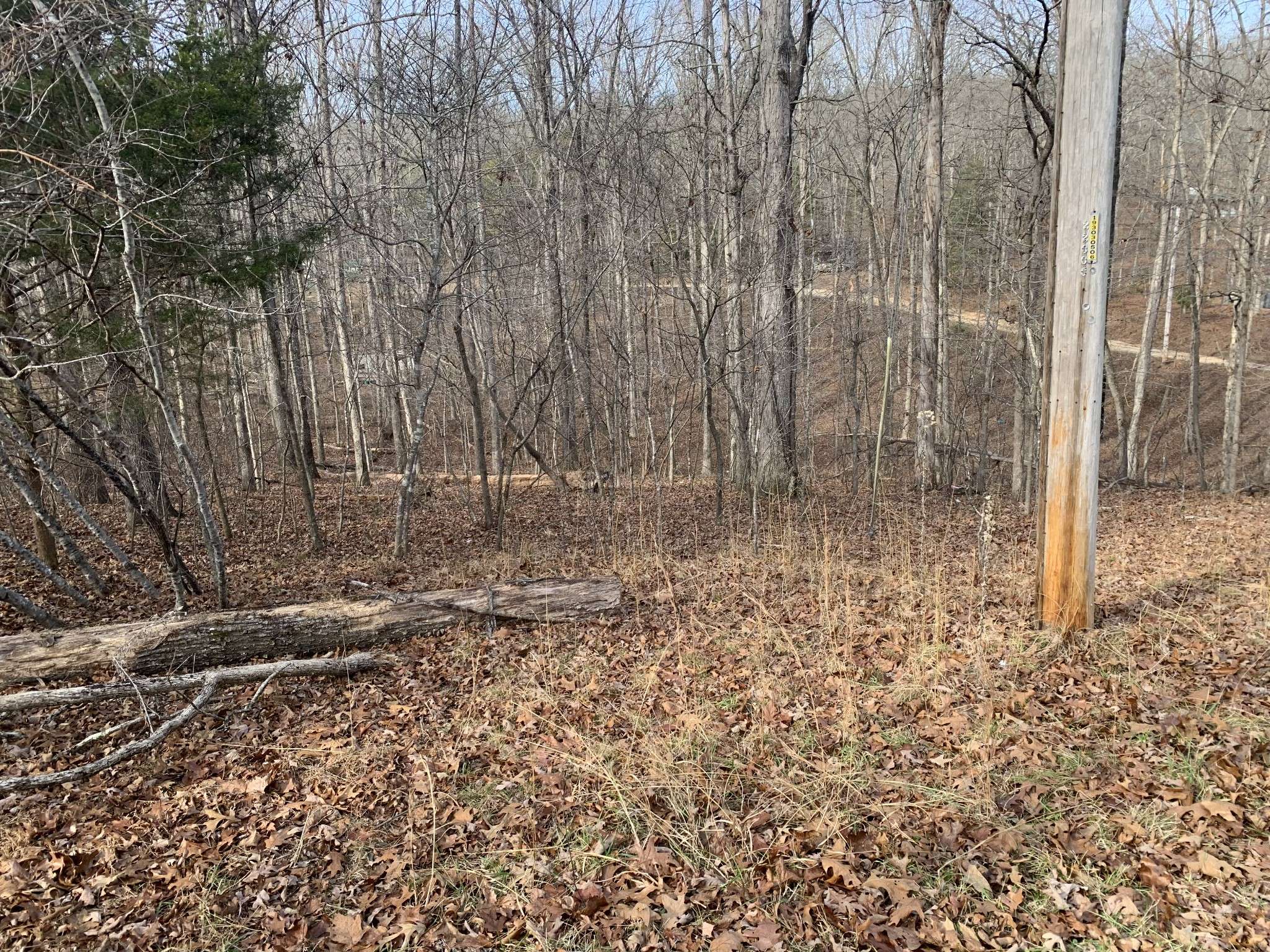 Nunnelly, TN 37137,0 Oak Ct