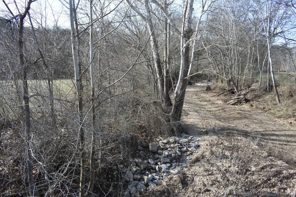 Gainesboro, TN 38562,0 DRY FORK RD