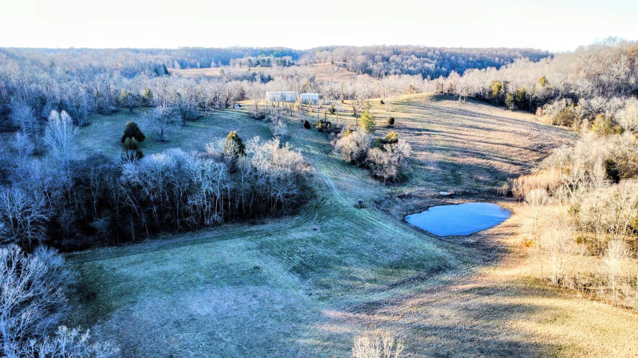 Lynnville, TN 38472,1820 Petty Hollow Rd #N