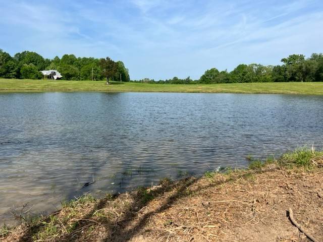 Pleasant Shade, TN 37145,0 Carthage Rd Lot 12