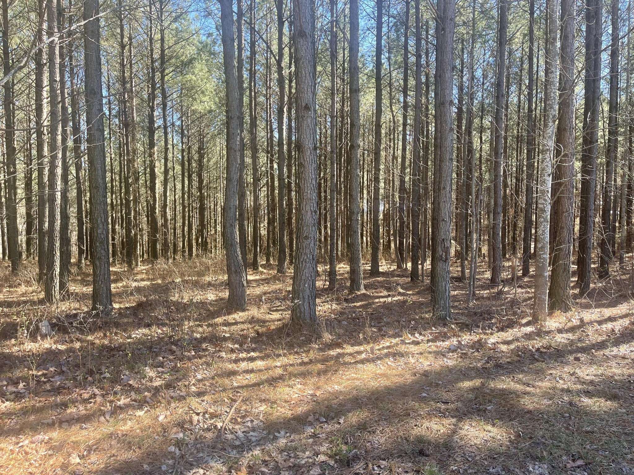 Jasper, TN 37347,0 High Point Ln, Lot 80