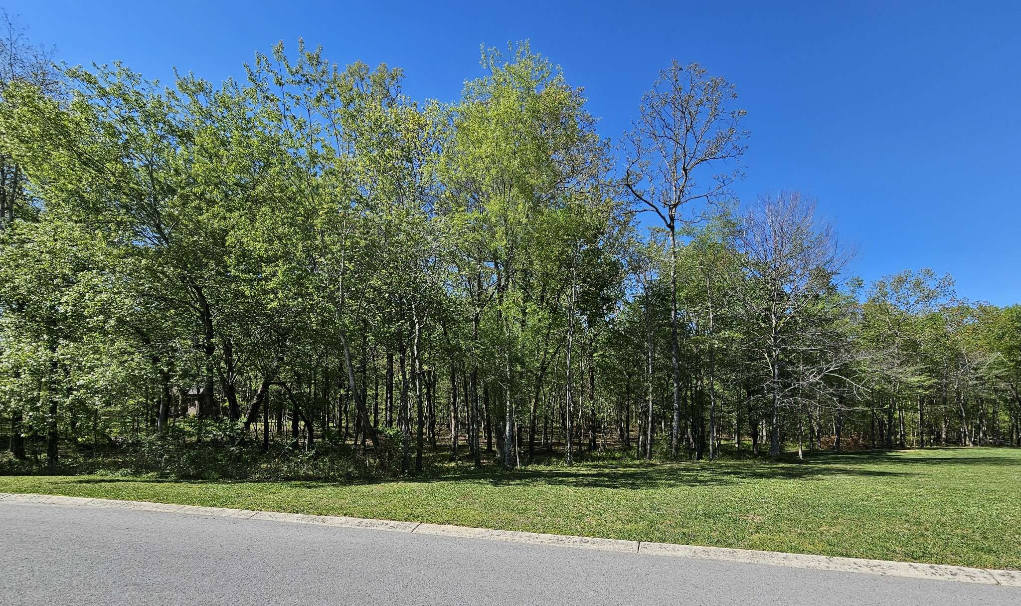 Tullahoma, TN 37388,0 Station Cir Lot 23