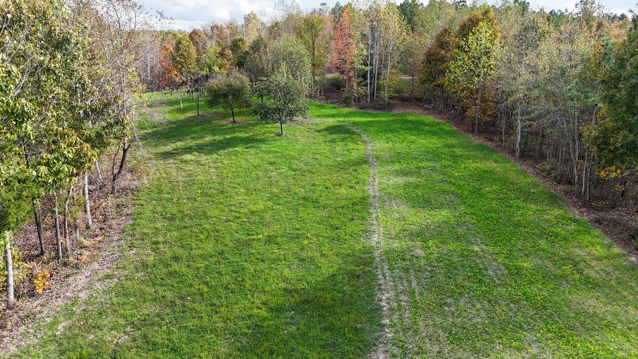 Linden, TN 37096,0 Ledbetter Hollow Rd