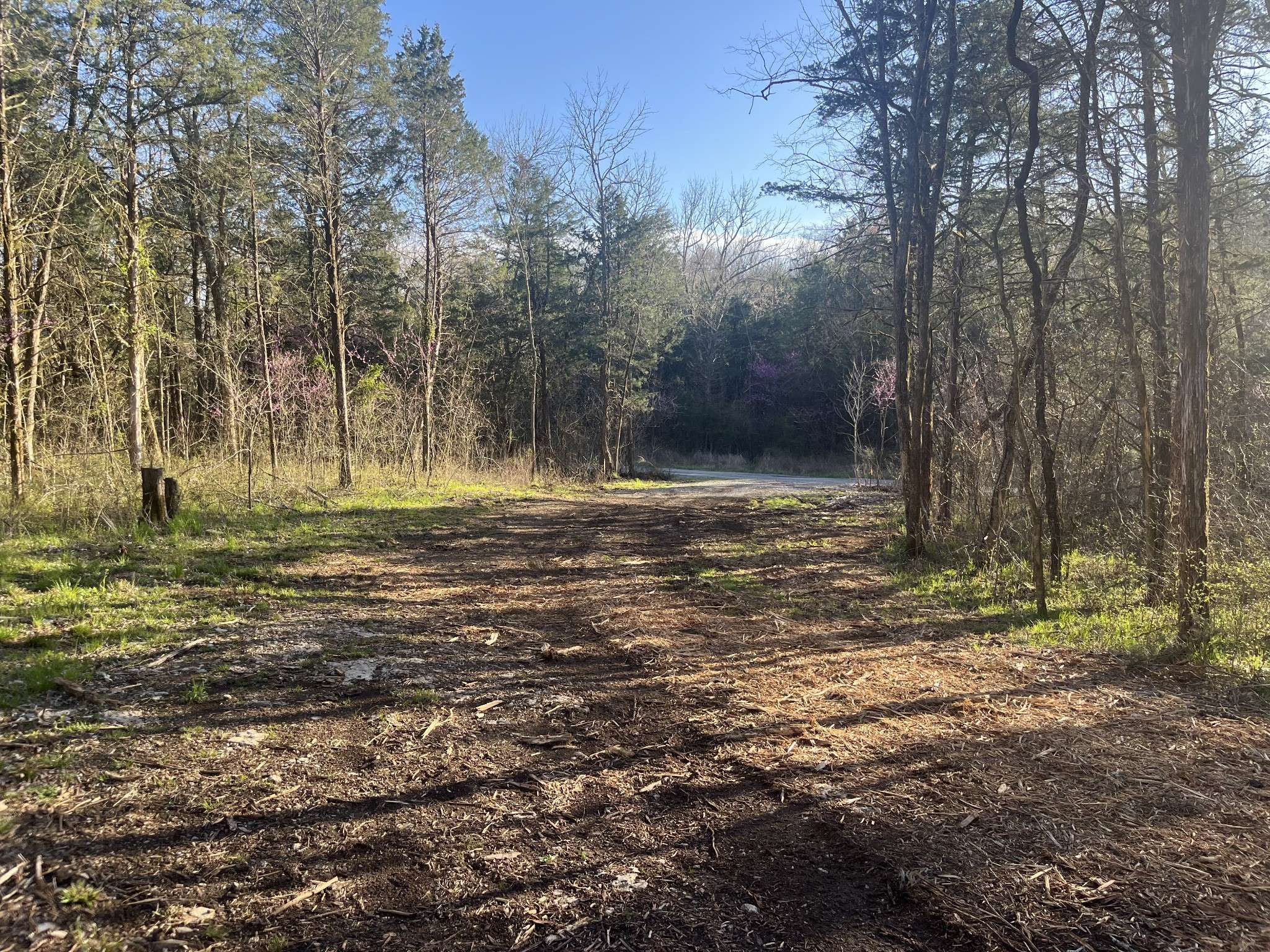 Eagleville, TN 37060,0 Bo road