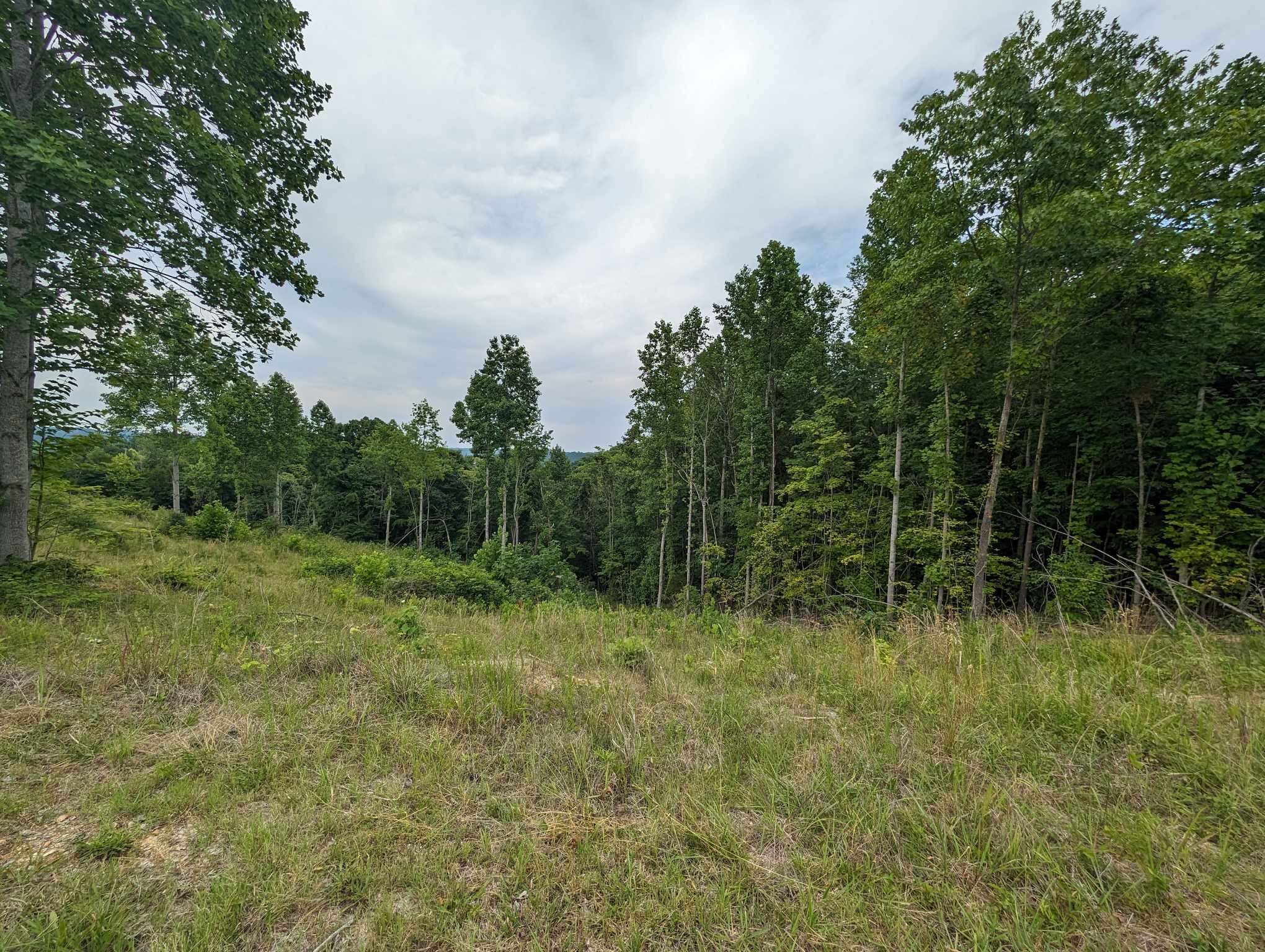 Byrdstown, TN 38549,0 Stoney Point Rd