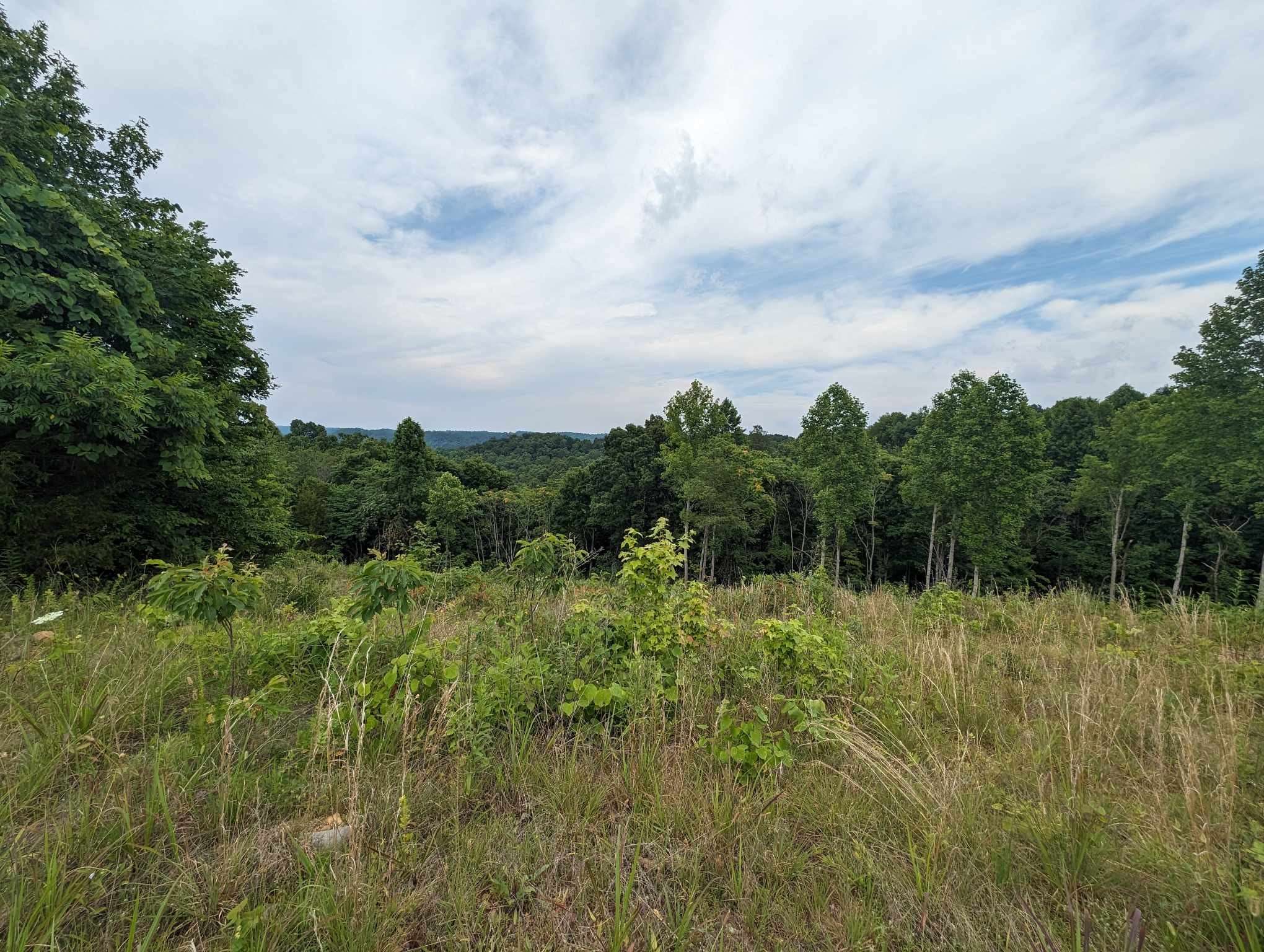 Byrdstown, TN 38549,0 Stoney Point Rd