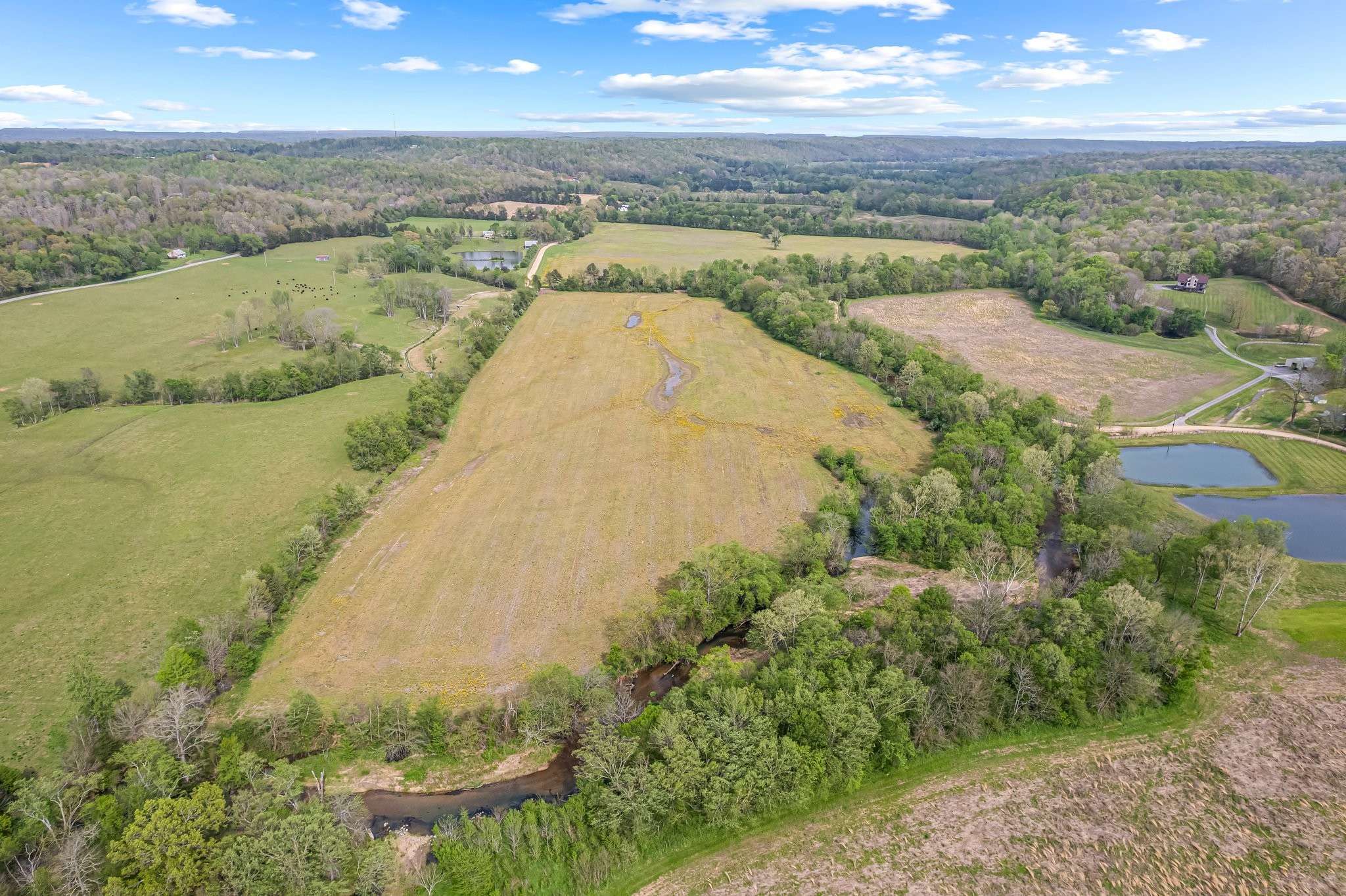 Centerville, TN 37033,0 Backside Beaverdam Road