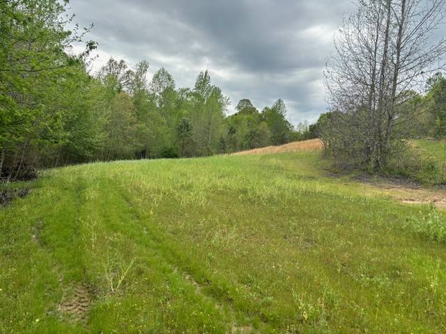 Medon, TN 38356,0 Highway 18 #N