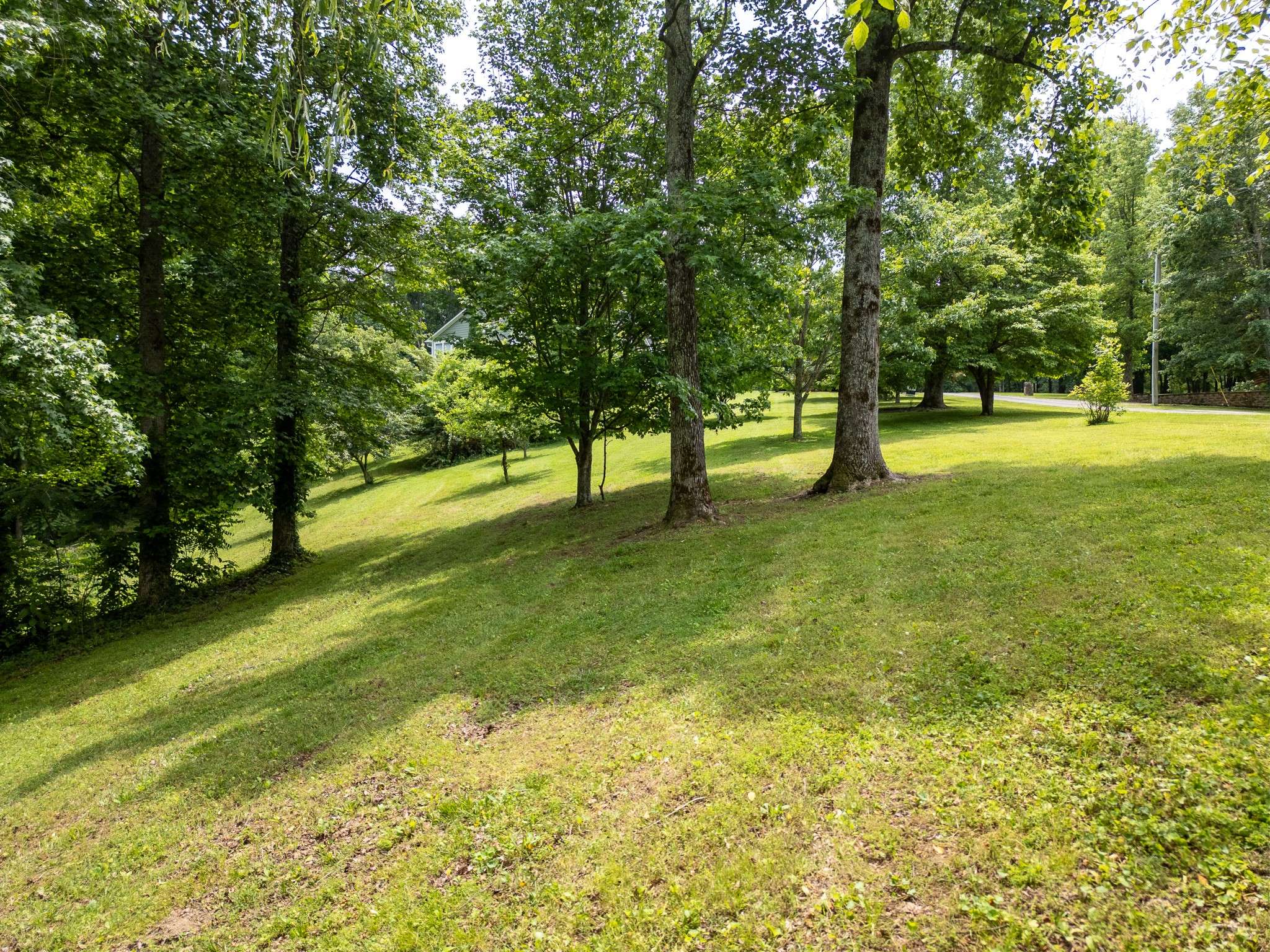 Silver Point, TN 38582,0 Lafever Ridge Rd