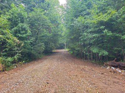 Bumpus Mills, TN 37028,0 BAYVIEW DR