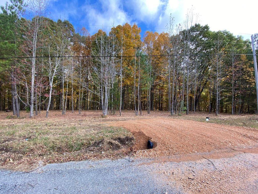 Huntingdon, TN 38344,0 Bluebird Ln