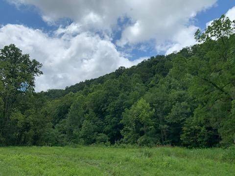 Whitleyville, TN 38588,0 Wartrace Rd