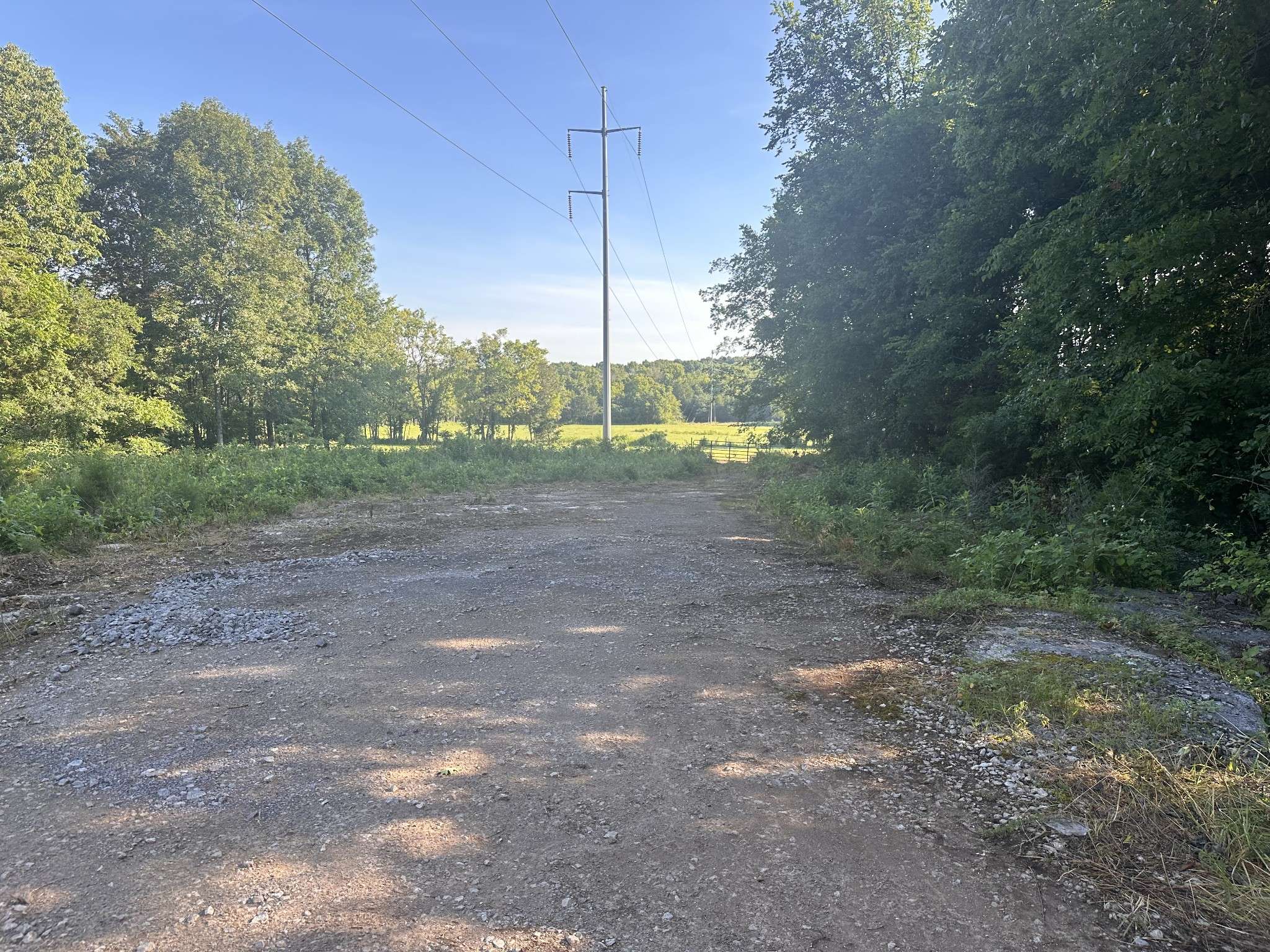 Lebanon, TN 37087,0 Rutledge Lane Tract 12