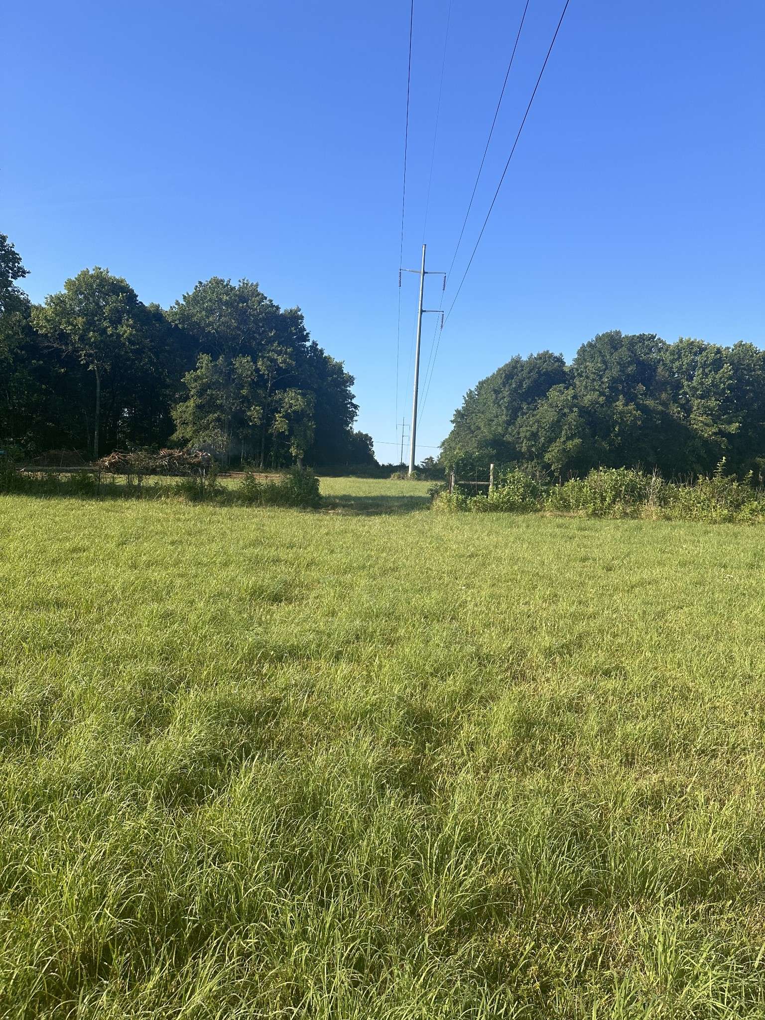 Lebanon, TN 37087,0 Rutledge Lane Tract 12