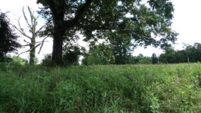 Gainesboro, TN 38562,8 ac Sugar Creek Rd