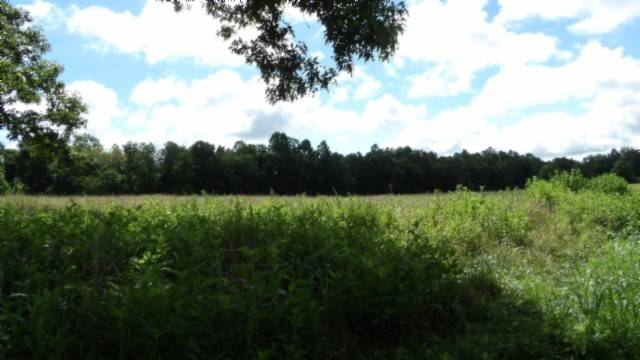 Gainesboro, TN 38562,8 ac Sugar Creek Rd