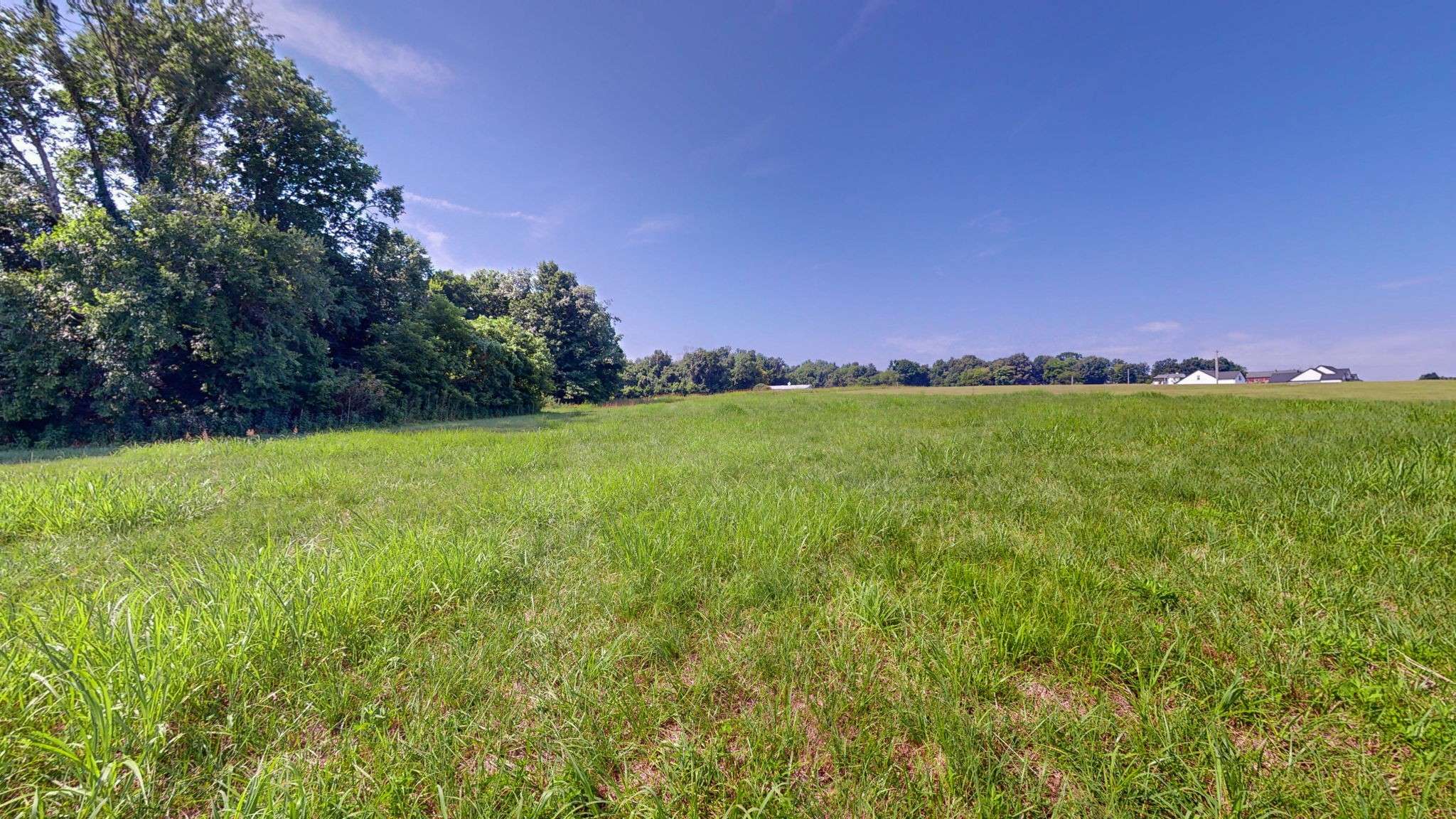 Cross Plains, TN 37049,0 Calista Rd