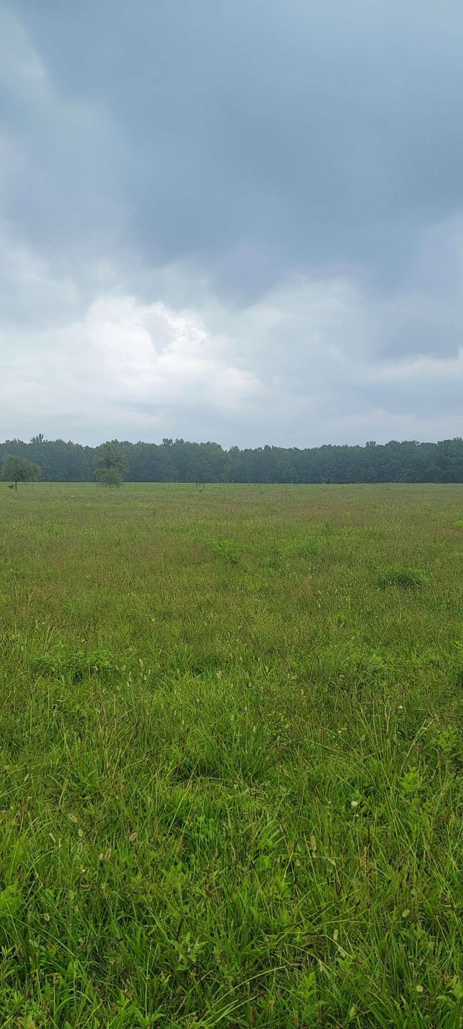 Manchester, TN 37355,6 Fredonia Road