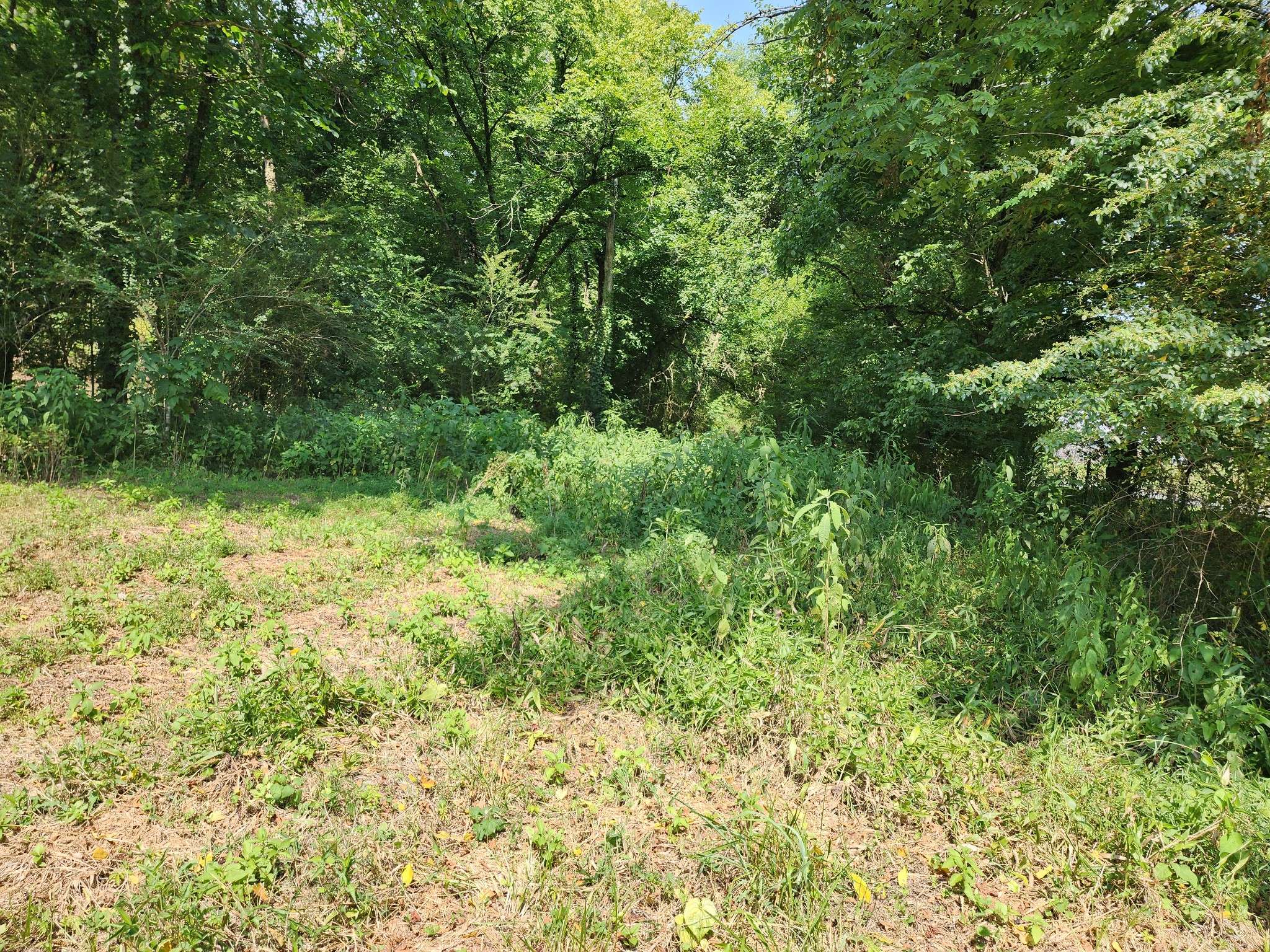 Gainesboro, TN 38562,78 ac Baugh Hollow Rd