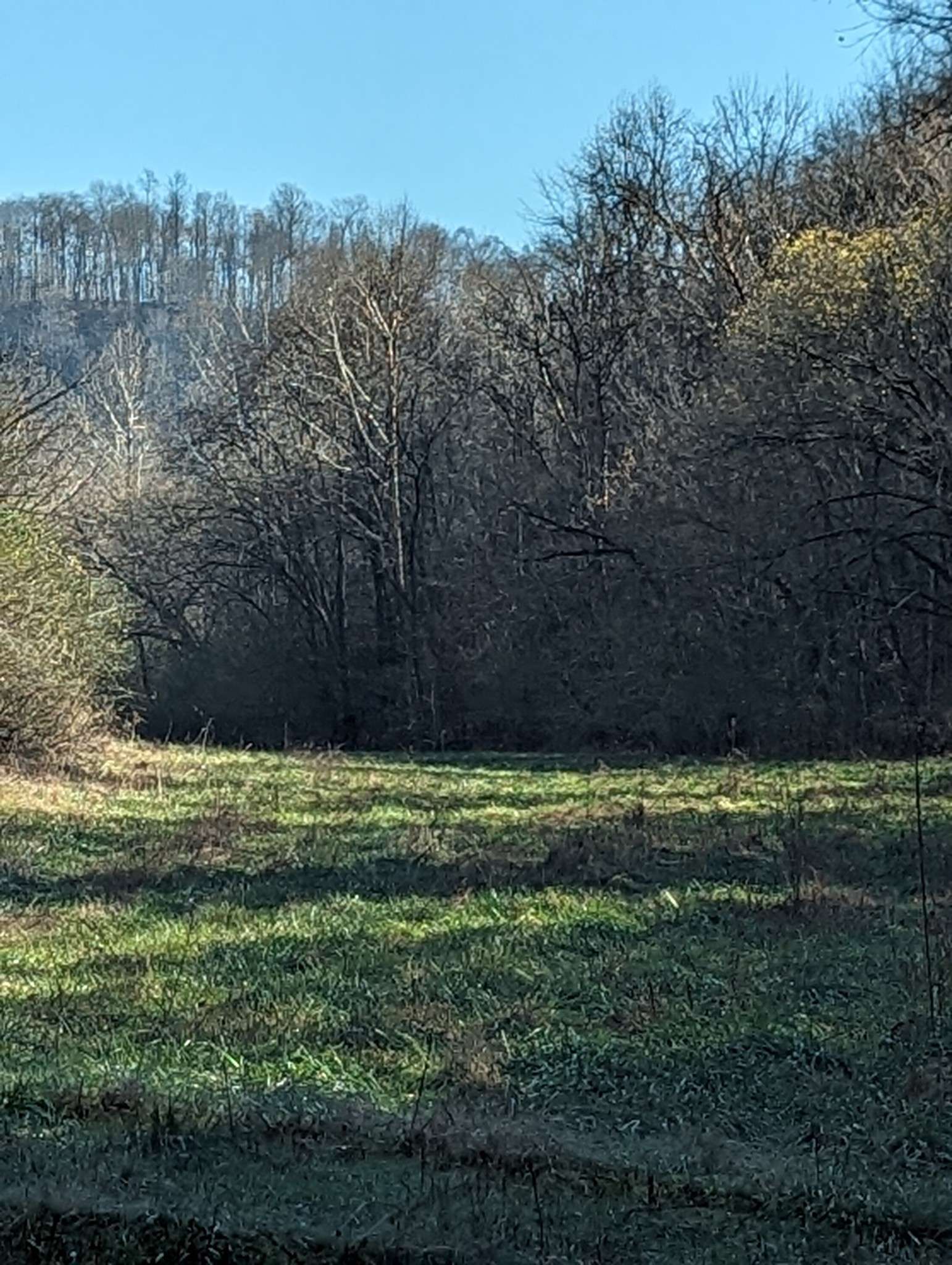 Gainesboro, TN 38562,90 ac Baugh Hollow Rd