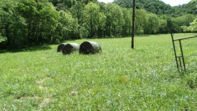 Moss, TN 38575,5155 Brimstone Creek Rd