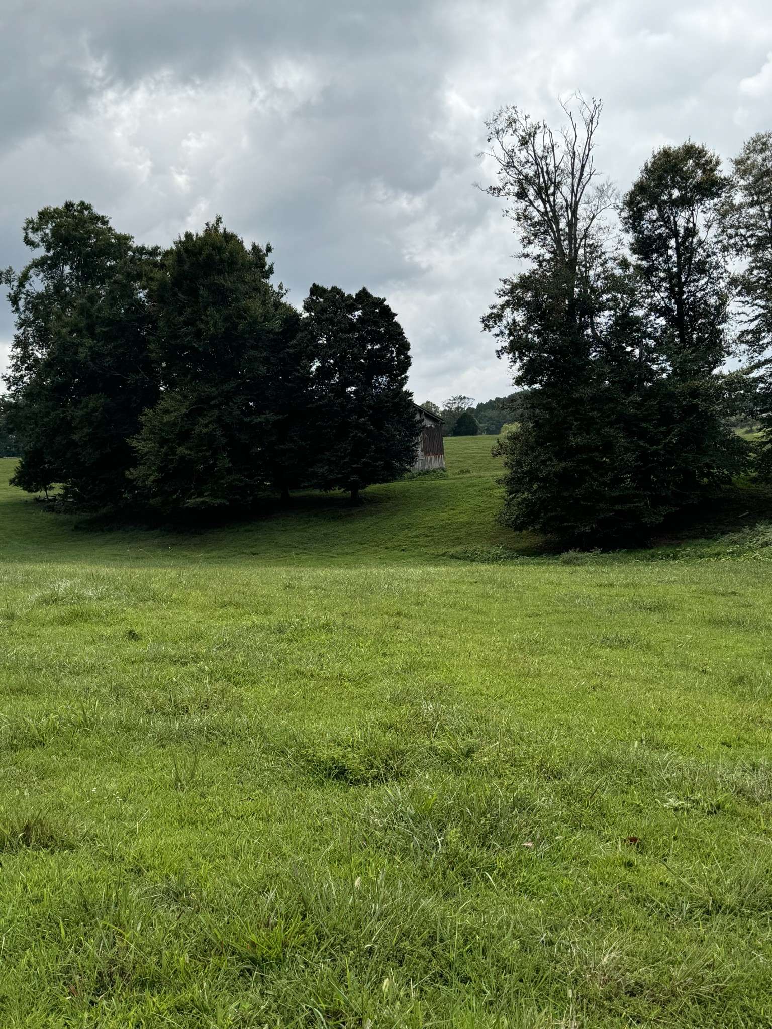 Whitleyville, TN 38588,0 McCormick Ridge Rd