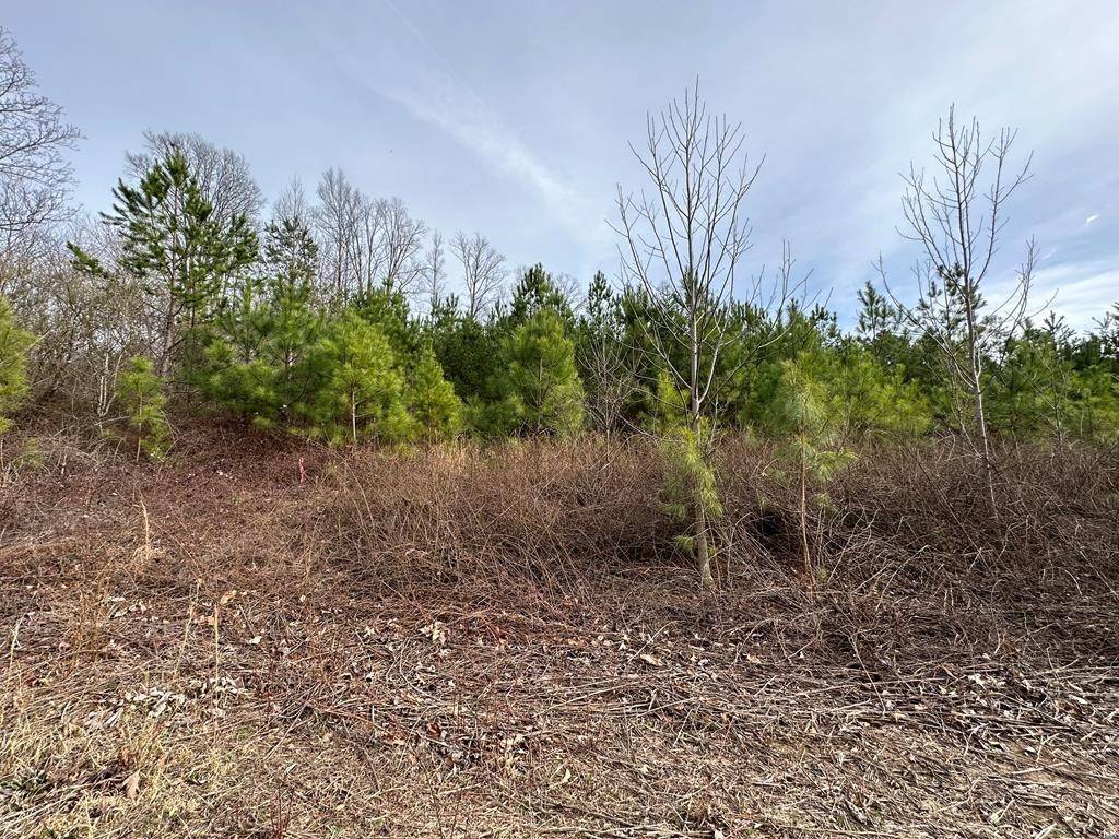 Cleveland, TN 37312,0 Keri Lane #NE