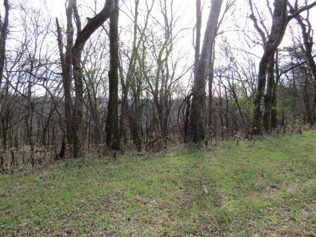 Pulaski, TN 38478,958 dollar hollow road