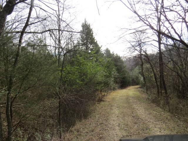 Pulaski, TN 38478,958 dollar hollow road