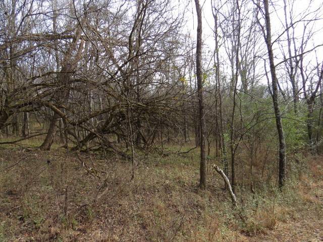 Pulaski, TN 38478,958 dollar hollow road