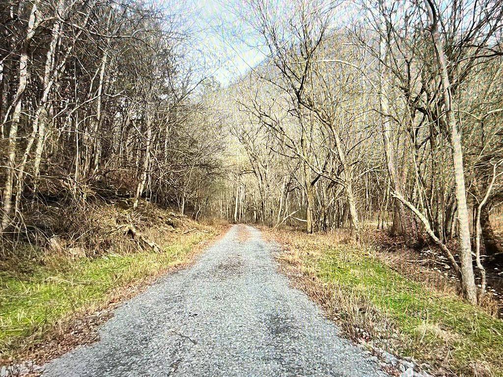 Bloomington Springs, TN 38545,9865 Martin Creek Rd