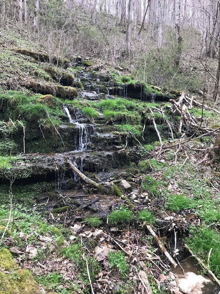 Bloomington Springs, TN 38545,9865 Martin Creek Rd