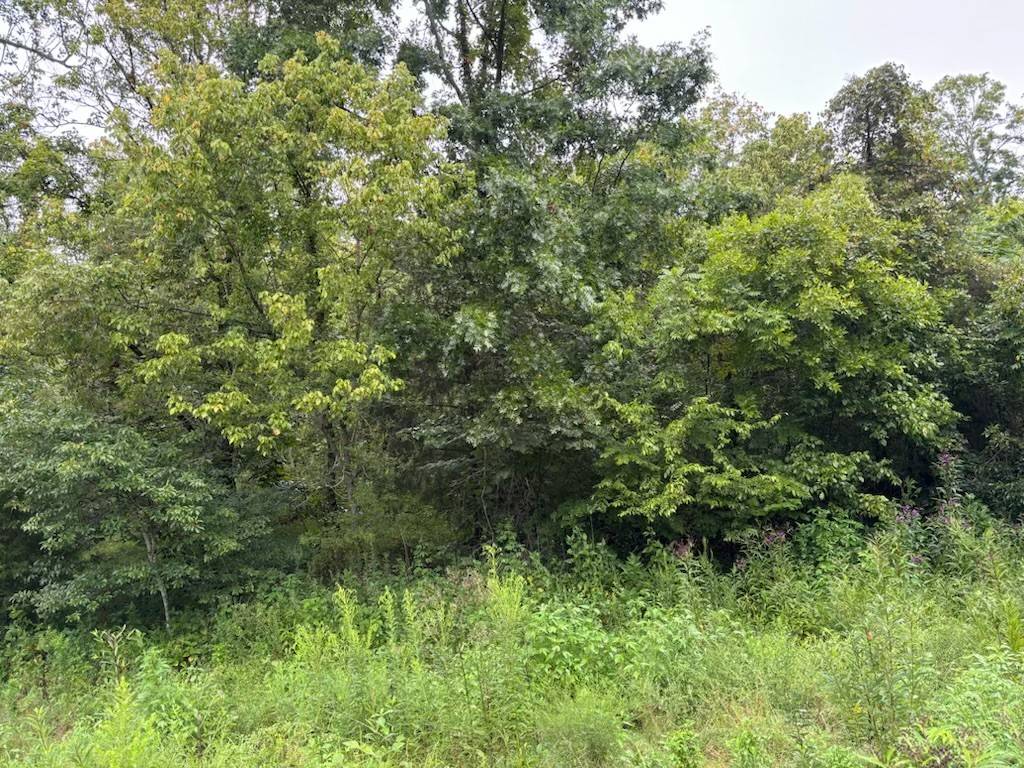 Frankewing, TN 38459,0 Cathcart Rd