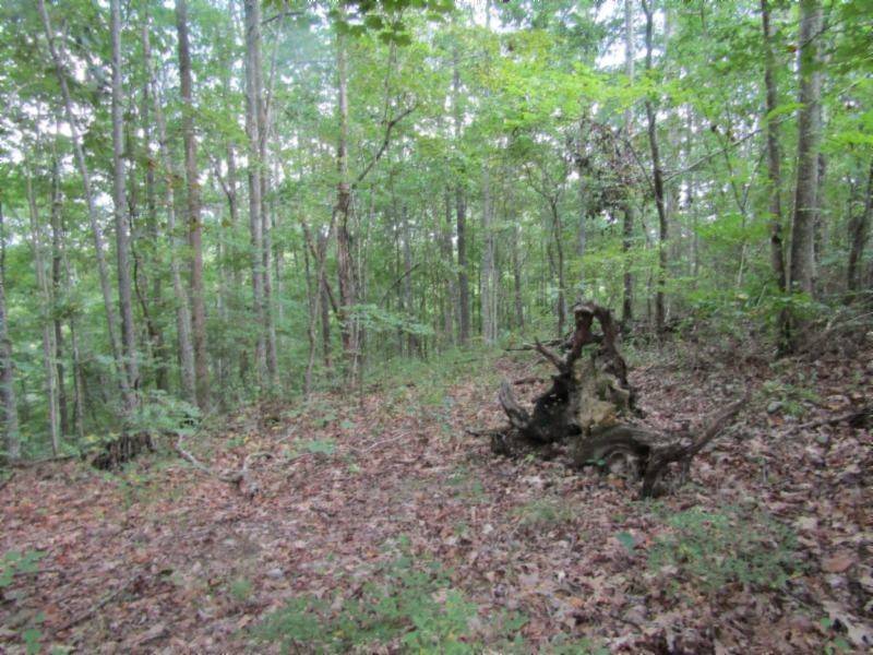 Celina, TN 38551,5 ac Backwoods Trail