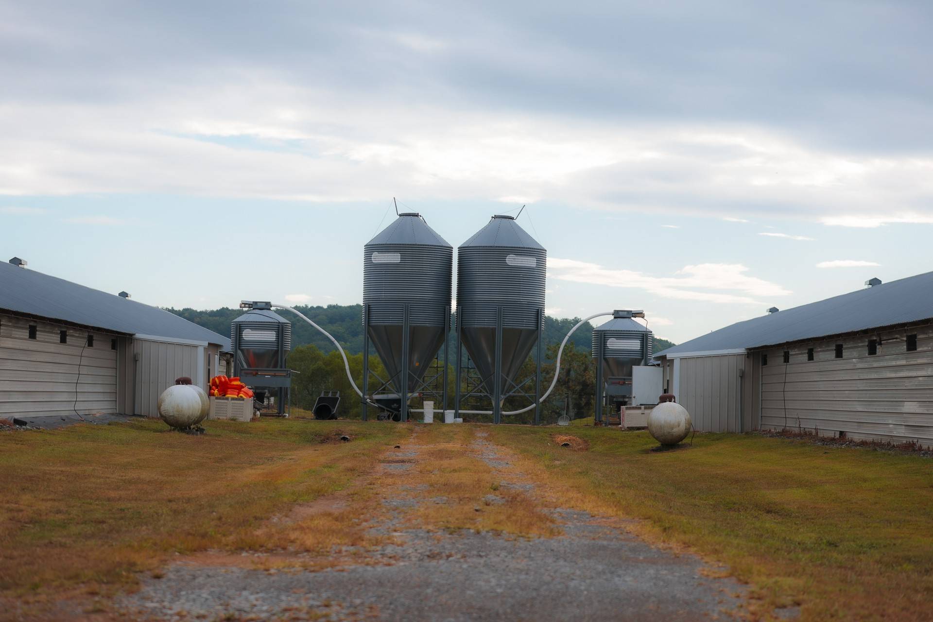 Soddy Daisy, TN 37379,2910 Young Rd