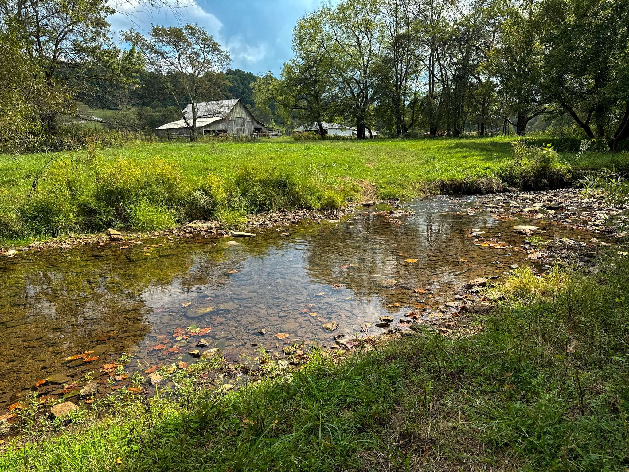 Pulaski, TN 38478,1905 Hams Creek Rd