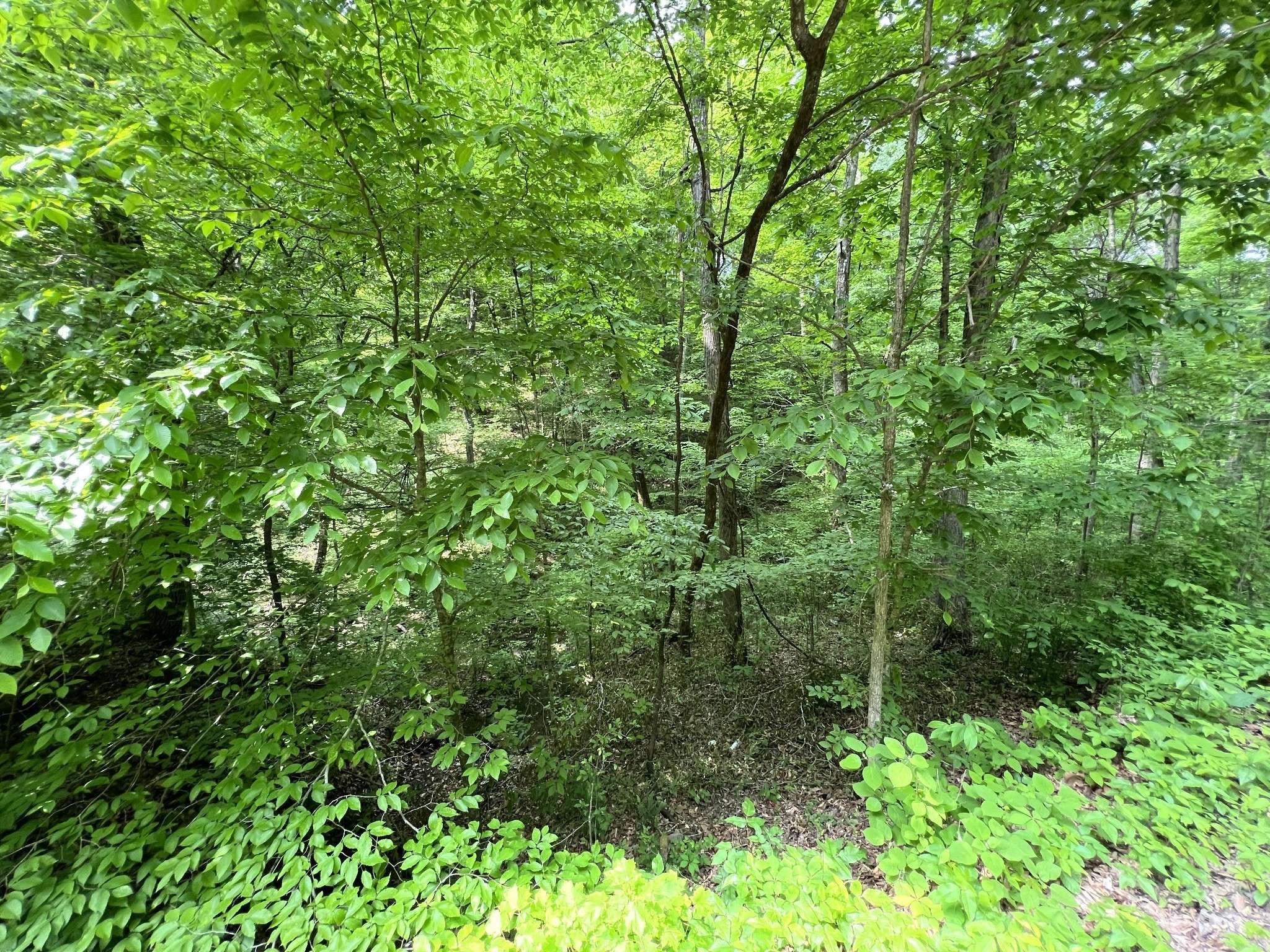 Whites Creek, TN 37189,0 Clay Lick Rd