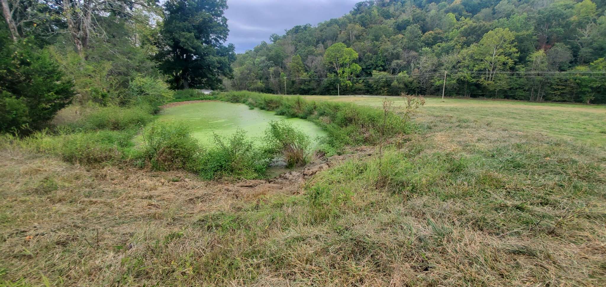 Pleasant Shade, TN 37145,0 Kemp Hollow Rd