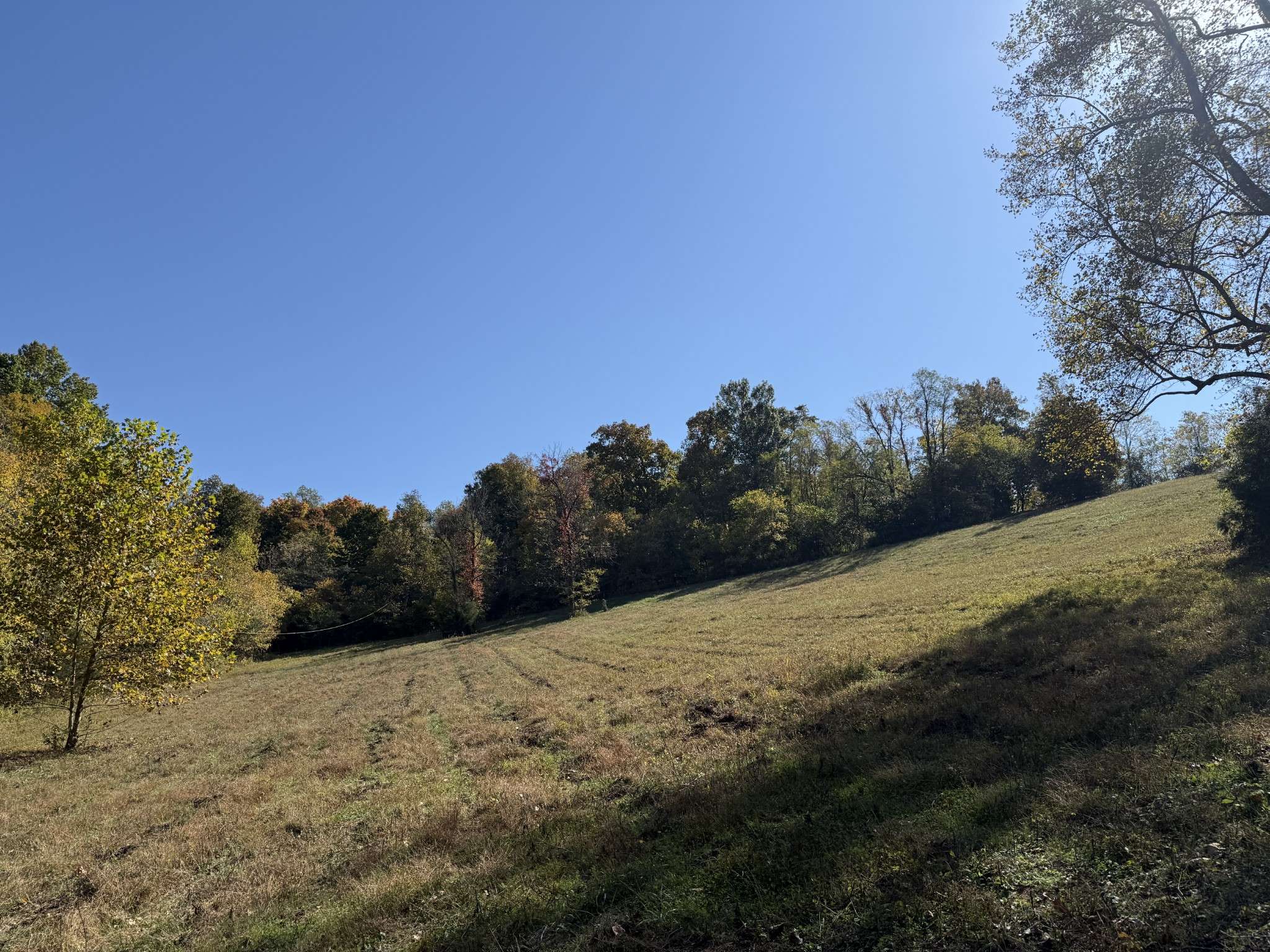 Frankewing, TN 38459,0 Robinson Rd