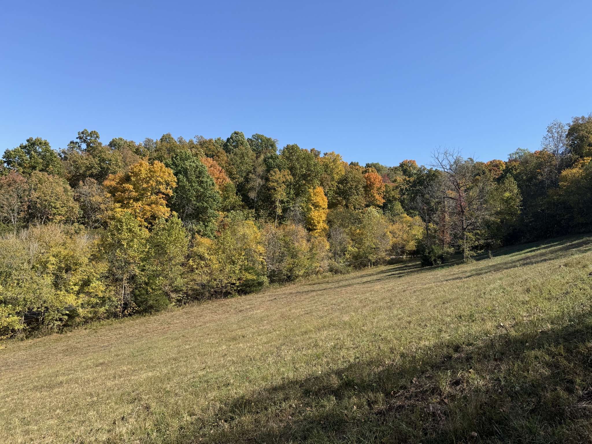 Frankewing, TN 38459,0 Robinson Rd