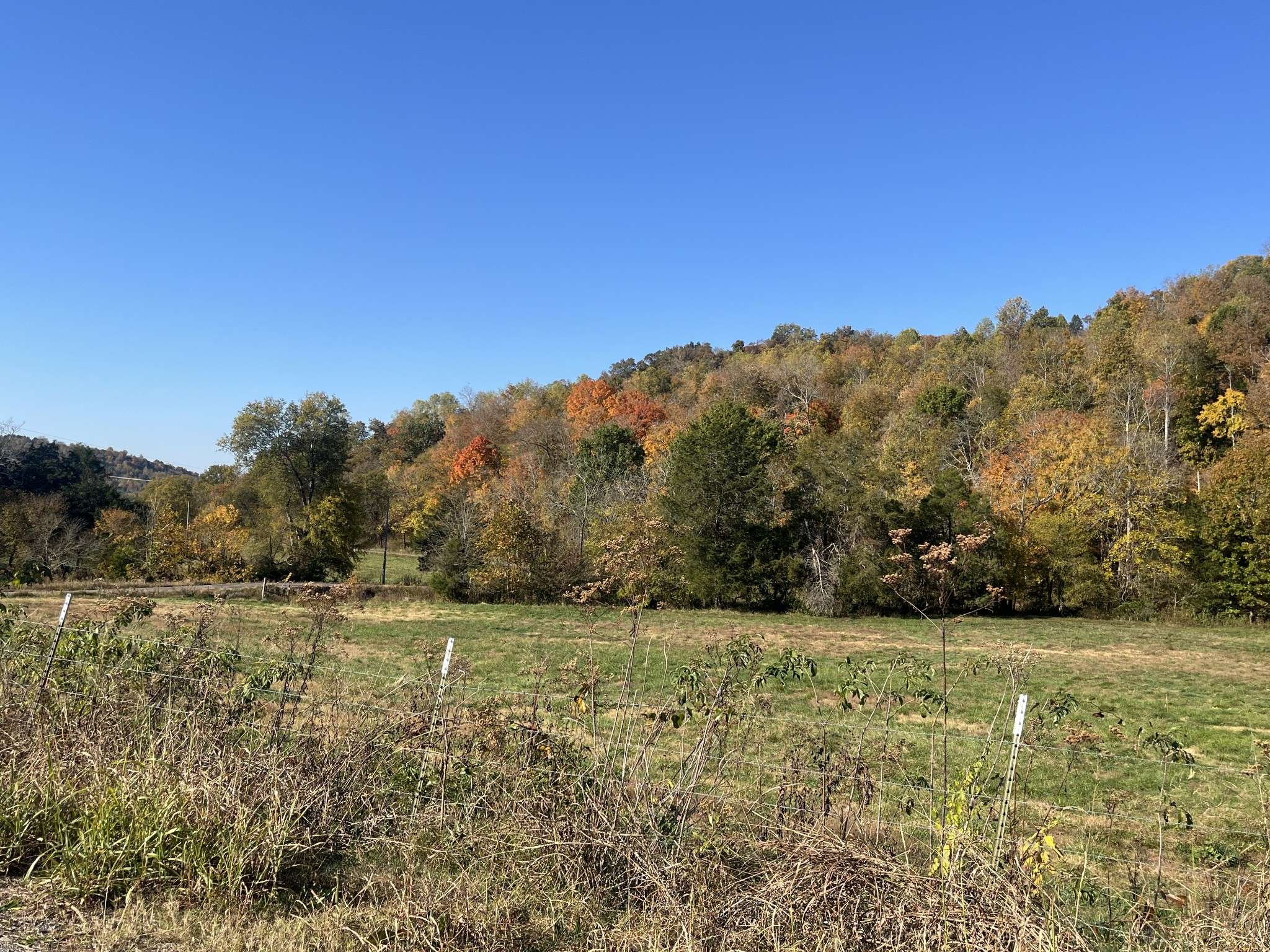 Frankewing, TN 38459,0 Cathcart Rd