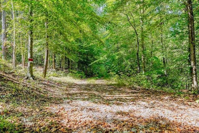 Alpine, TN 38543,0 Bolestown Loop Lot 1