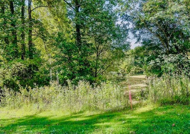 Alpine, TN 38543,0 Bolestown Loop Lot 6