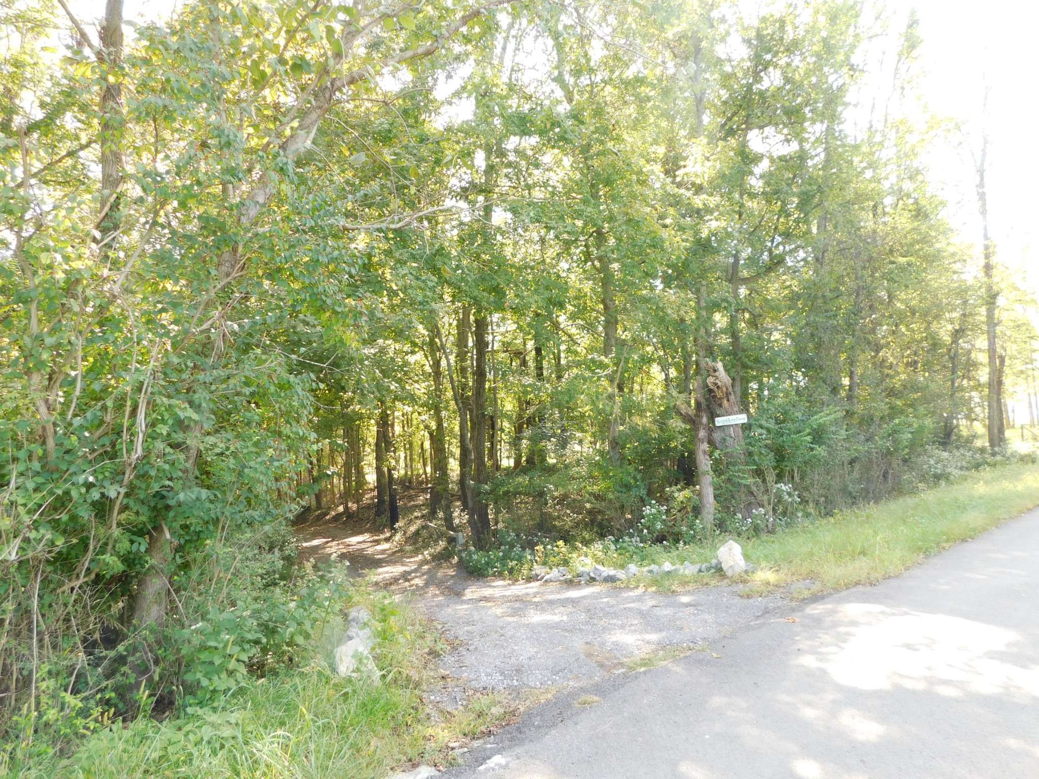 Gallatin, TN 37066,1101B HIDDEN COVE ROAD