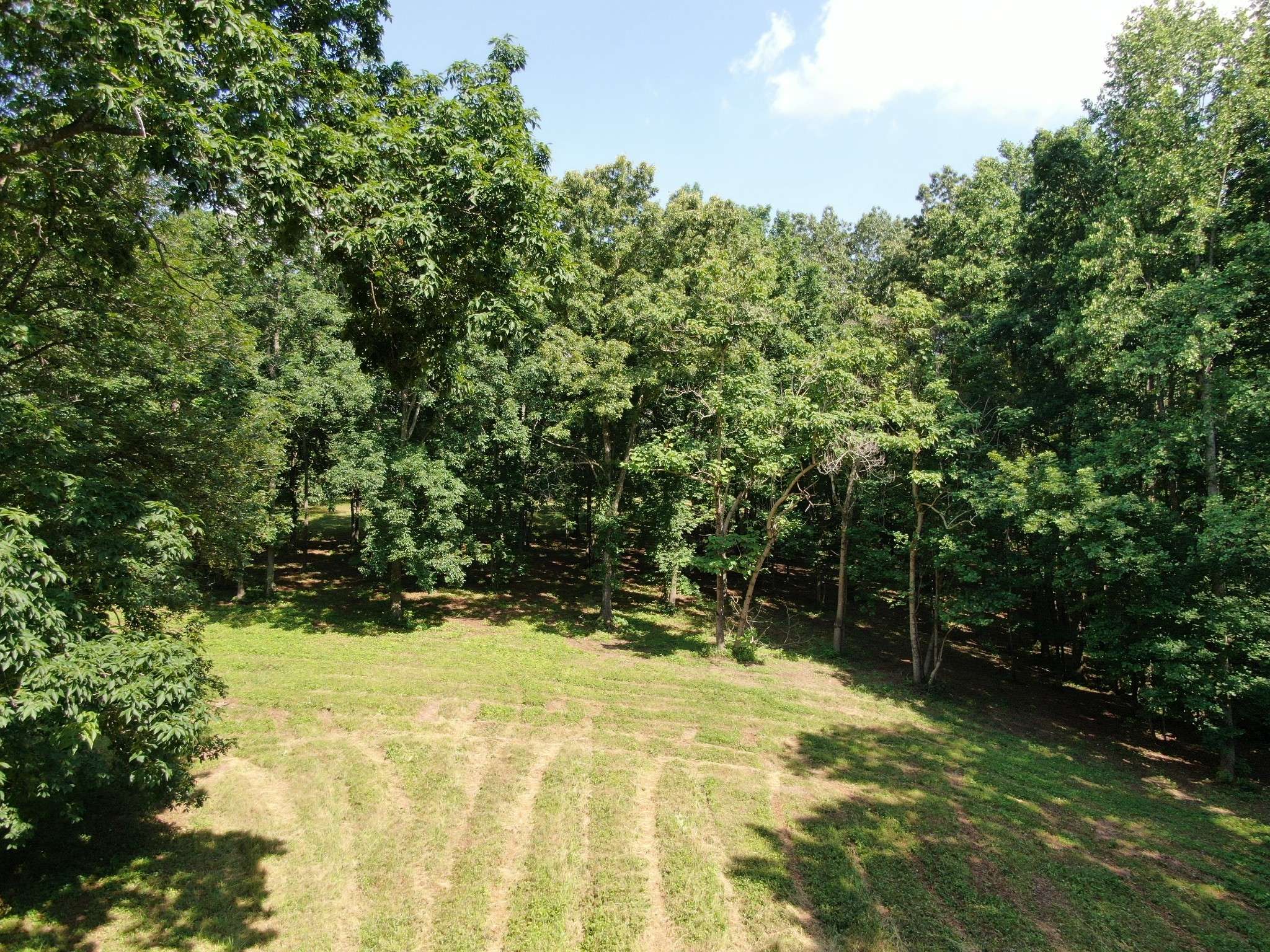 Primm Springs, TN 38476,0 Smith Rd