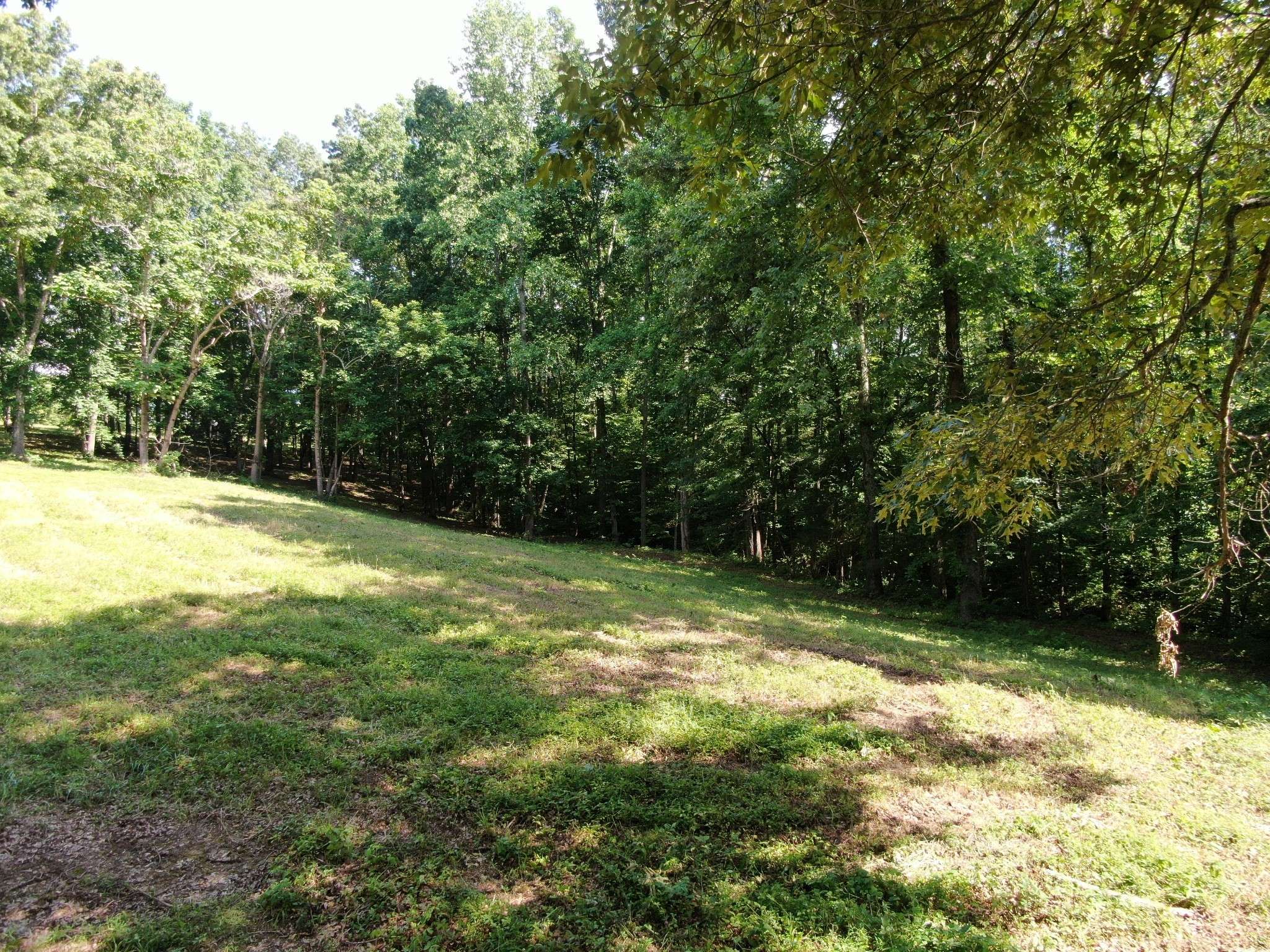 Primm Springs, TN 38476,0 Smith Rd