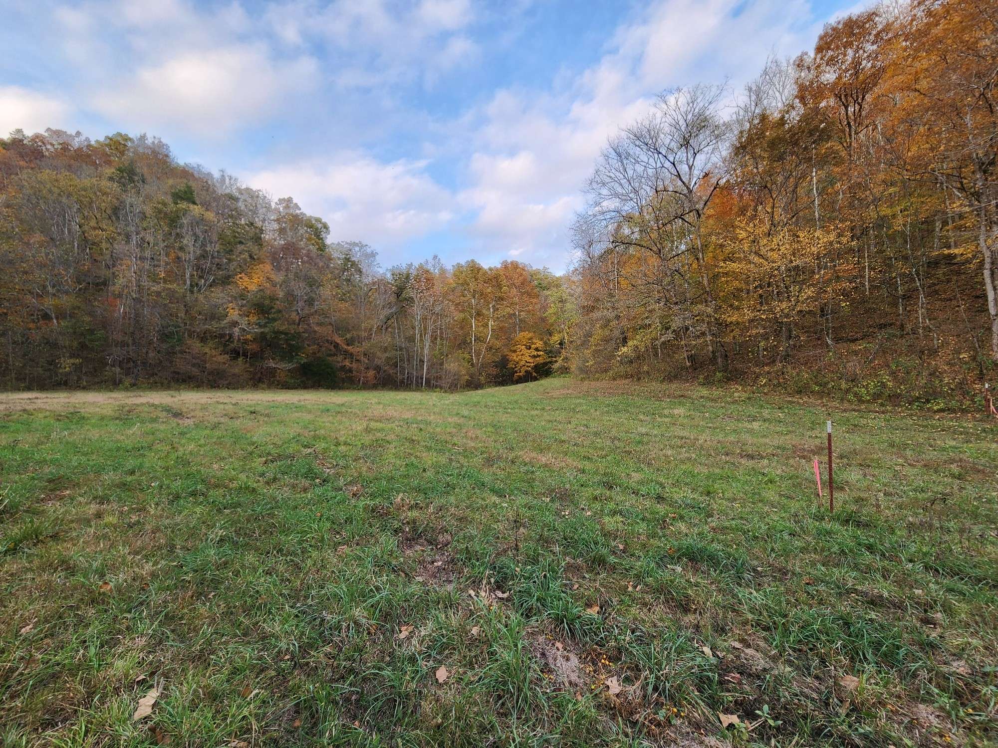 Whitleyville, TN 38588,0 Pine Lick Rd